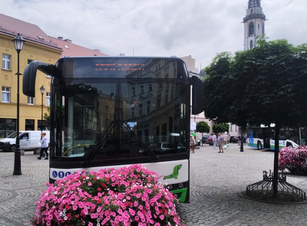 Jak jeżdżą ząbkowickie autobusy? Sprawdź w ZOK-u - Zdjęcie główne