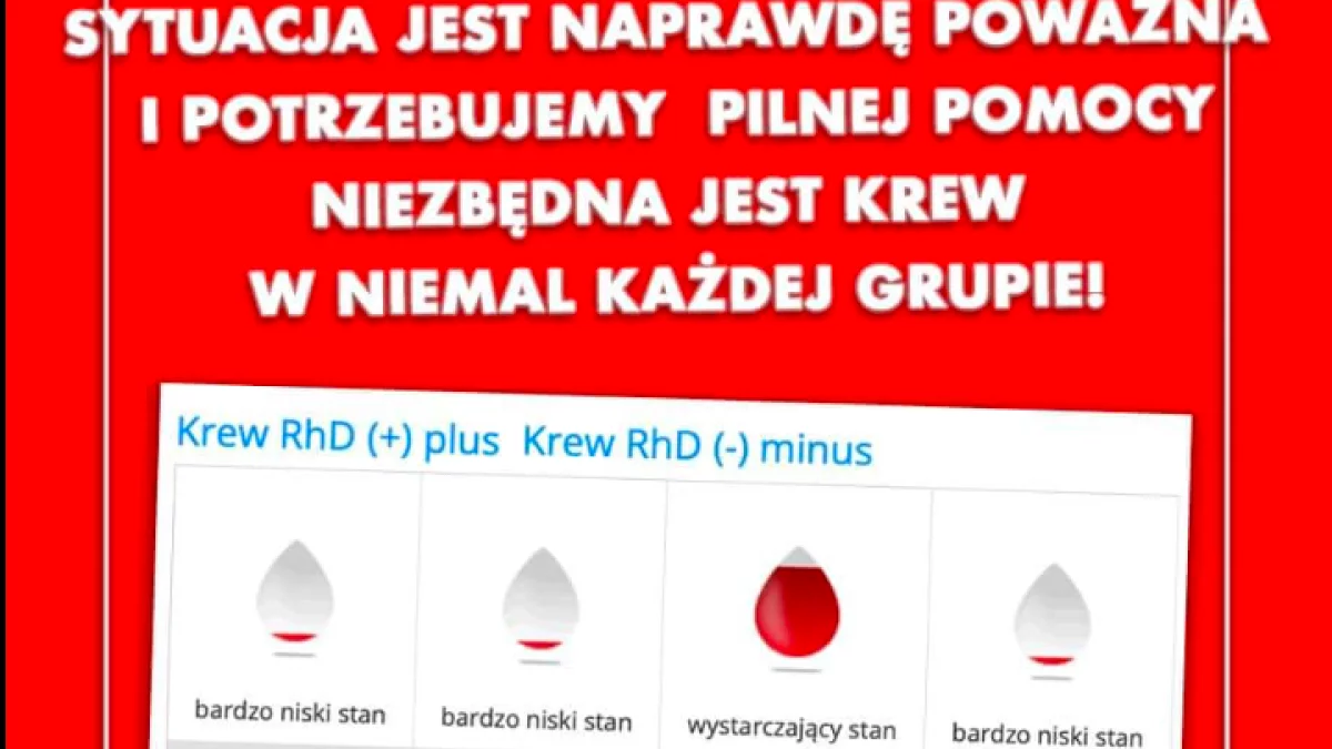 W Regionalnym Centrum Krwiodawstwa i Krwiolecznictwa we Wrocławiu brakuje krwi prawie wszystkich grup! - Zdjęcie główne