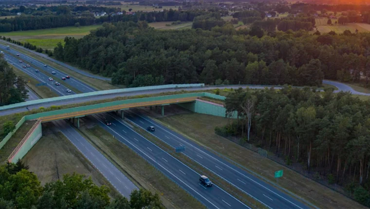 Region. 37 ofert wpłynęło w przetargach na zaprojektowanie i budowę trasy S8 - Zdjęcie główne