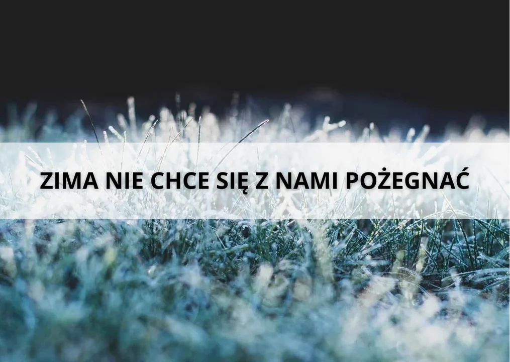 Powiat Ząbkowicki. IMGW wydało ostrzeżenie. Czekają nas białe święta? - Zdjęcie główne