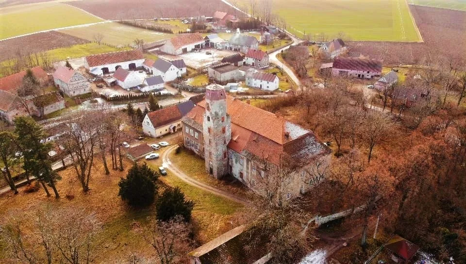 Gmina Ziębice. Możesz zostać właścicielem pałacu w Służejowie - Zdjęcie główne