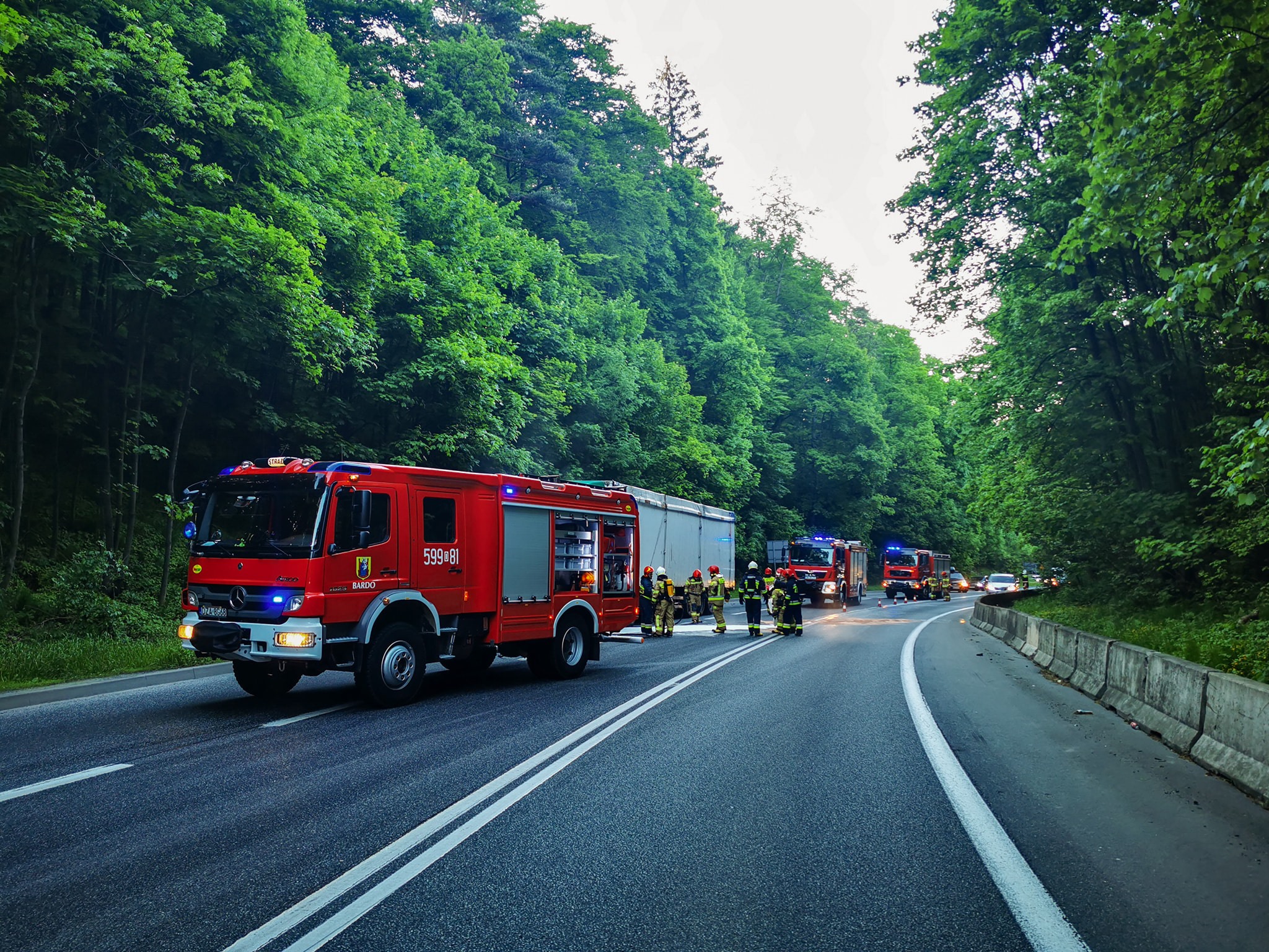 Dębowina. Płonął samochód ciężarowy - Zdjęcie główne