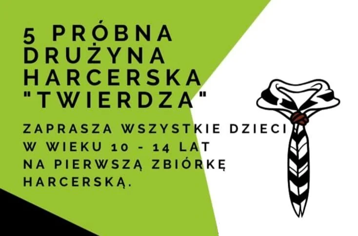 Gmina Stoszowice. Drużyna Harcerska “Twierdza” - pierwsze spotkanie już w czwartek - Zdjęcie główne